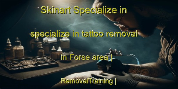 Skinart Specialize in specialize in tattoo removal in Forse area | RemovalTraining | RemovalClasses | SkinartTraining-Sweden